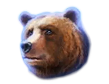 Bear symbol payout values