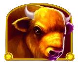 Buffalo high-paying symbol