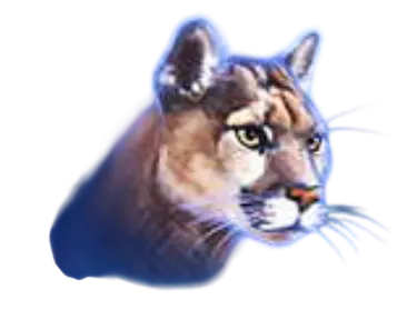 Cougar premium symbol Buffalo Blitz