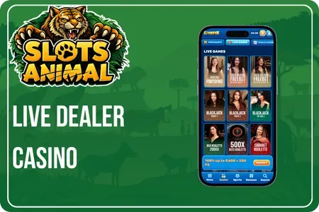 Live Dealer Casino in Spinfin casino