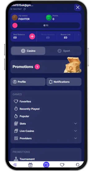User account menu and VIP status display